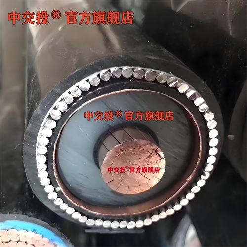 xwpfss.cn